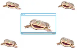 frog