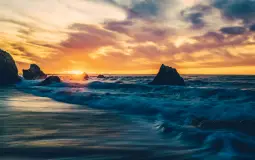 Pokémon Fav Megaevolutions