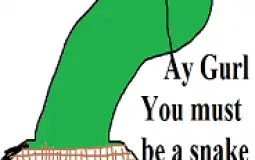 What should we do tonight