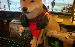 Bruh Bunker August