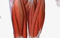 התרגילים החשובים ביותר לרגליים