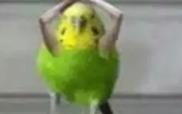 123