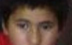 Mamaisimo Power Level