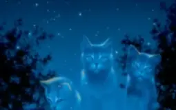 Official Warrior Cats Tier list - Discord