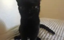 Strongest people in beech dorm