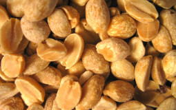 Ultimate Nut Tier List