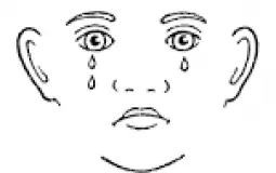 anime ive seen revised