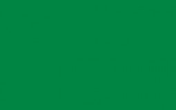 Football quarterbacks