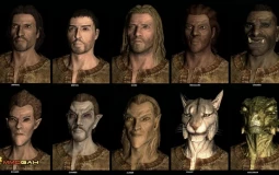 elder scrolls race tier list