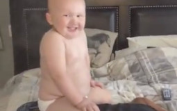 NOS MORTS ET NOS FAVS