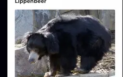 Beste/ slechtste Jelmers