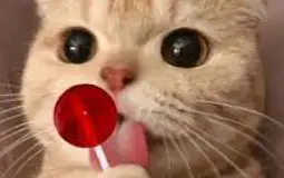 Artiste Gamingz (jrock)