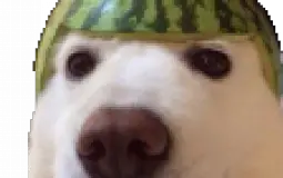 Chruterkraft Showdowneurs