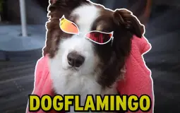 profs de notre classe