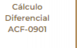 Porfesores