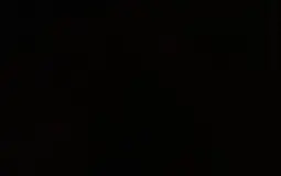 Plants vs zombies tier list