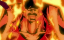 ONE PIECE POWER LEVEL
