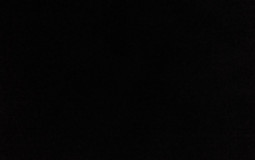 Who would you/I beat in a fight