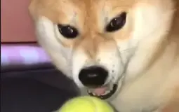 OVERALLERANT WITH FRIENDS