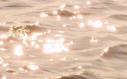 Too Hot To Handle - Tia