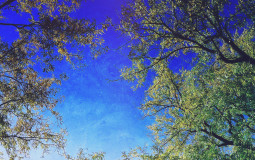 kjghhjgjhygjhghjghjghj