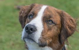 Movies with the bois