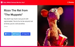 the fetus community of tiktok