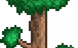 Vanilla Expert tier list