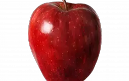 fruits