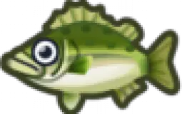 Fish - ACNH