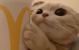 Better Server Tier List