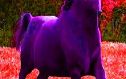 racist papa johns pizza members