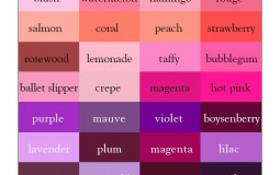 Colors