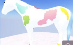 Wild horse islands events