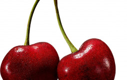 my favorite foods