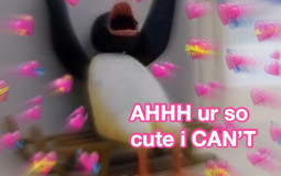 slmmnck's snacks and surprises