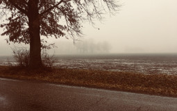 jvgkgjvkuyftdtrdtrdydytd