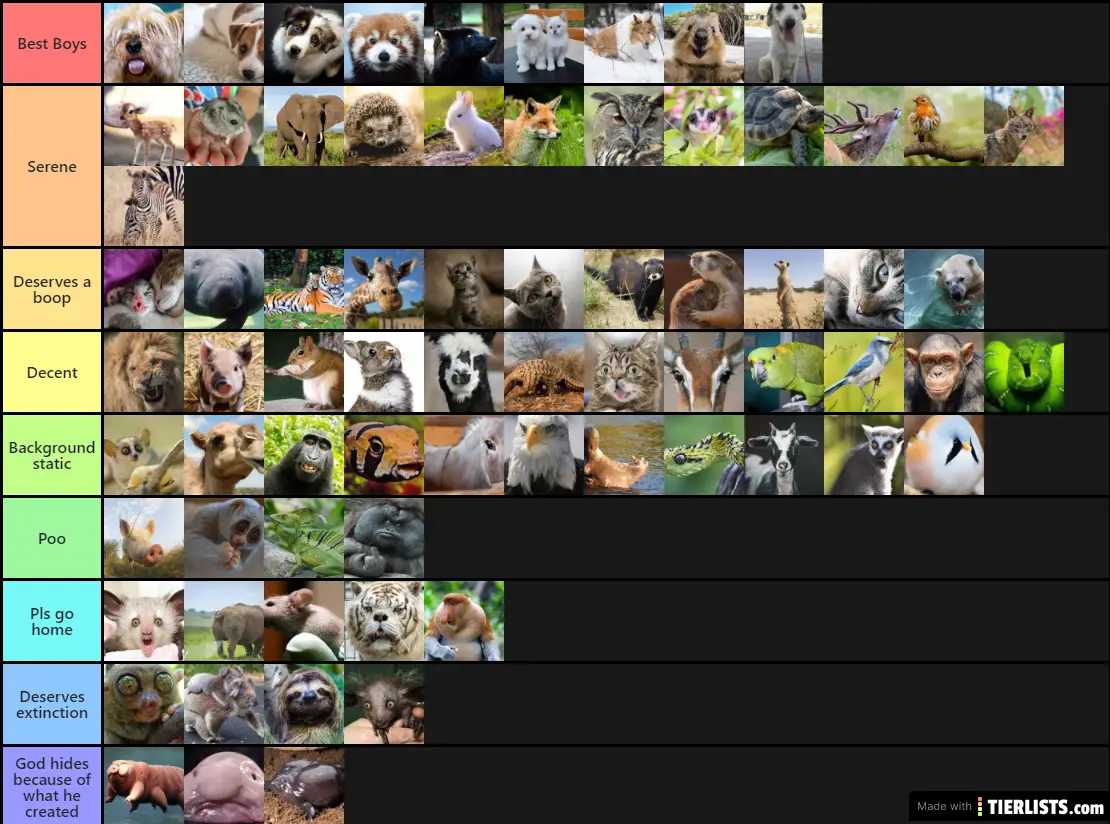 Animal