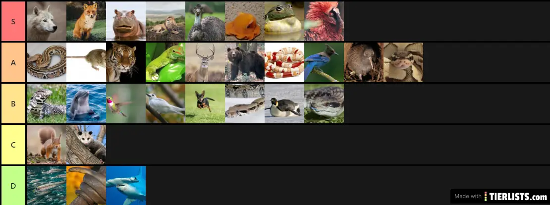 animal