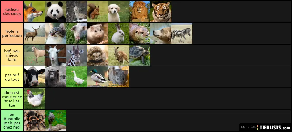 animaux