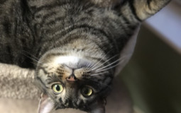 Shows We Have Watched Together