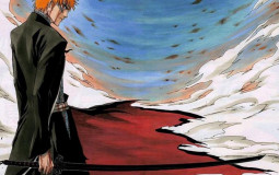 Bleach Release Phrases