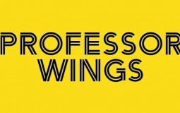 Professor Wings Tier List