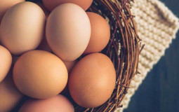 Types of Eggs