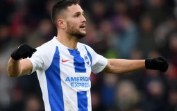 Brighton fc