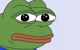 Pogg Frogg Ranking