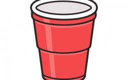 BEST PARTY SCHOOLS IN AMERICA