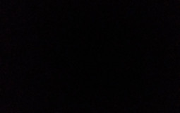 Pet Sim ytuber tier list