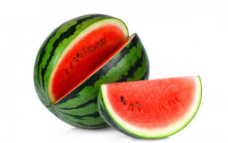 Melon Varieties