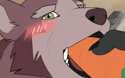 How tall Rou think you are